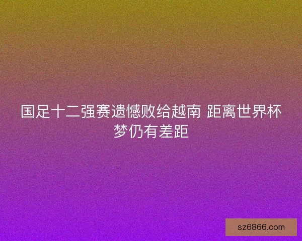 国足十二强赛遗憾败给越南 距离世界杯梦仍有差距
